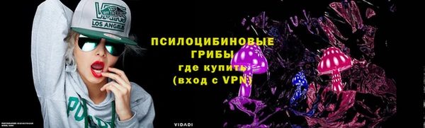 метадон Богданович
