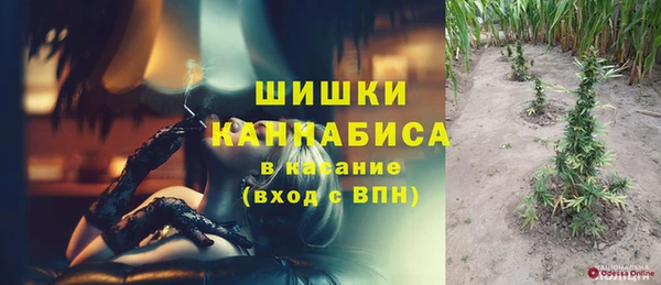 твердый Богородск