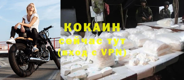 твердый Богородск